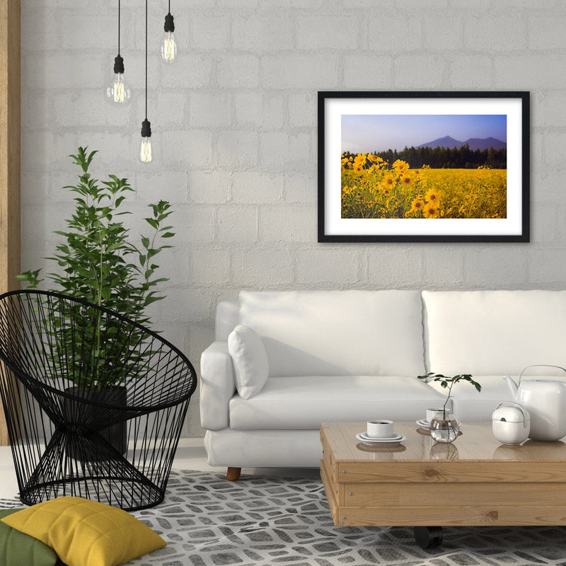 Glezna melnā rāmī - Wild Yellow Flower  Home Trends