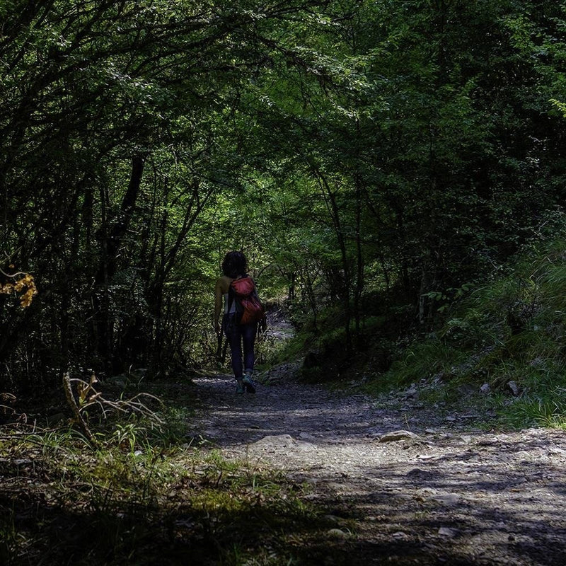 Glezna melnā rāmī - Woman On Forest Road  Home Trends