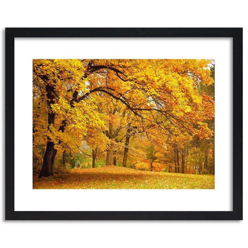 Glezna melnā rāmī - Yellow Autumn Trees  Home Trends