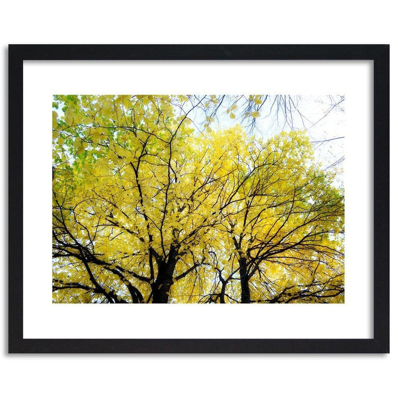 Glezna melnā rāmī - Yellow Leaves On A Tree  Home Trends