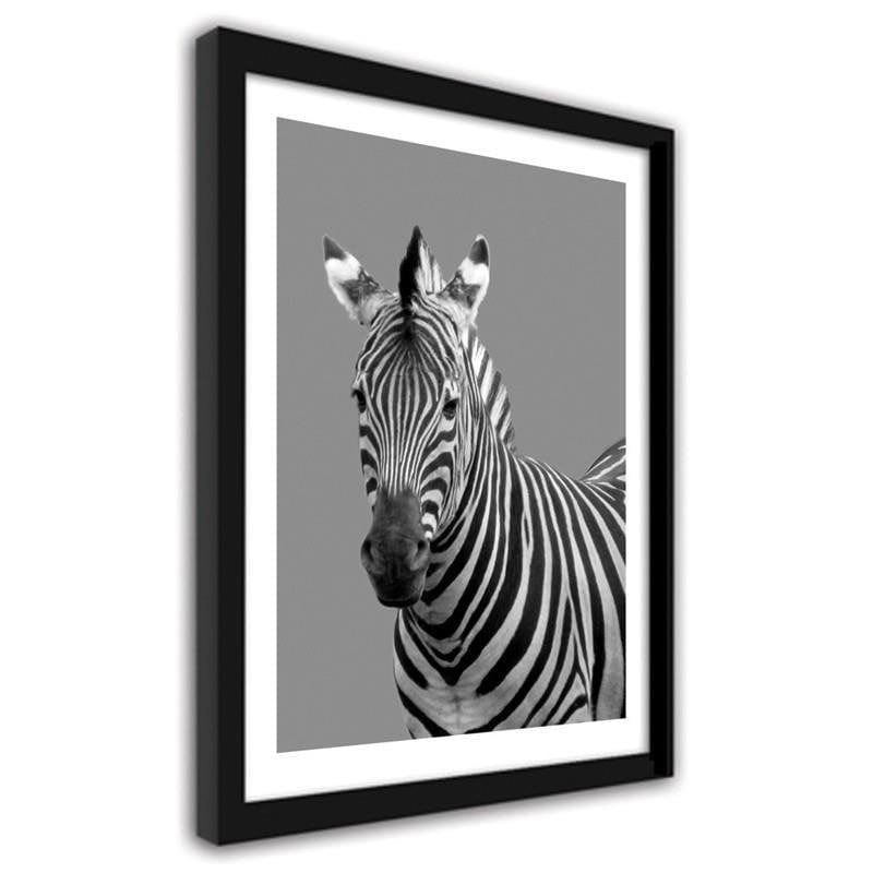 Glezna melnā rāmī - Zebra in black and white  Home Trends