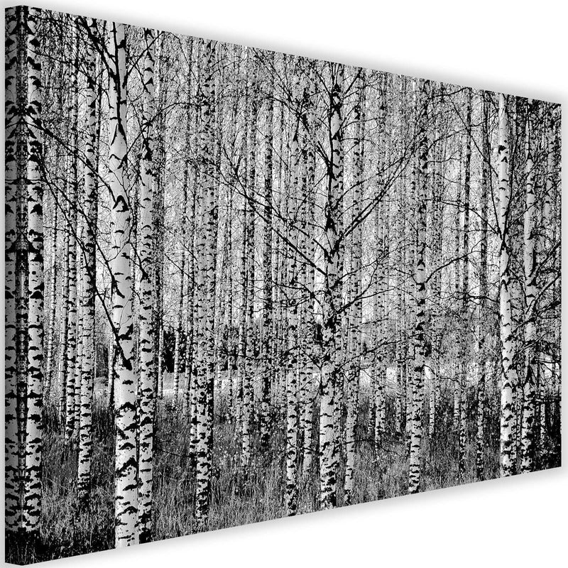 Kanva - Black And White Birch  Home Trends DECO