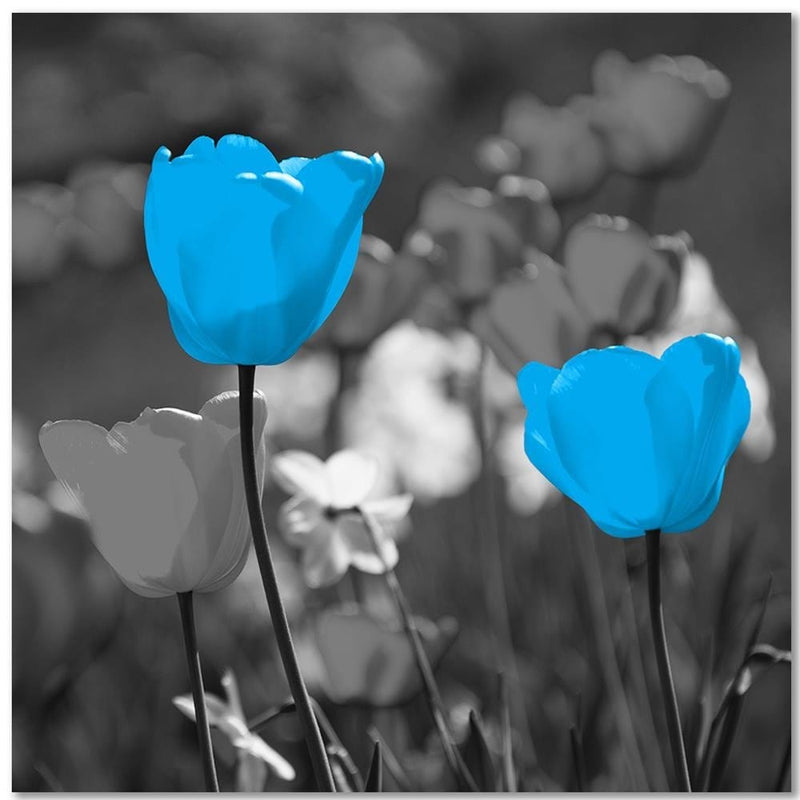 Kanva - Blue Tulips On A Meadow  Home Trends DECO