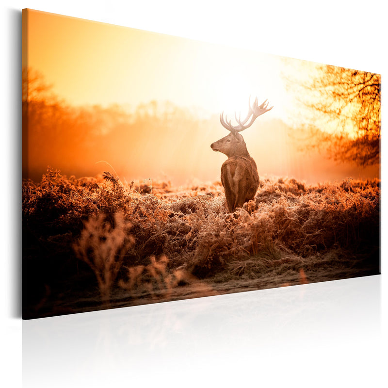 Glezna - Deer in the Sun Home Trends