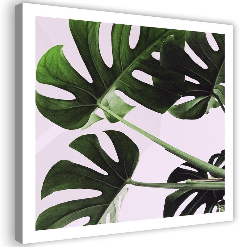 Kanva - Eksotiskās lapas Monstera (modern) Home Trends DECO