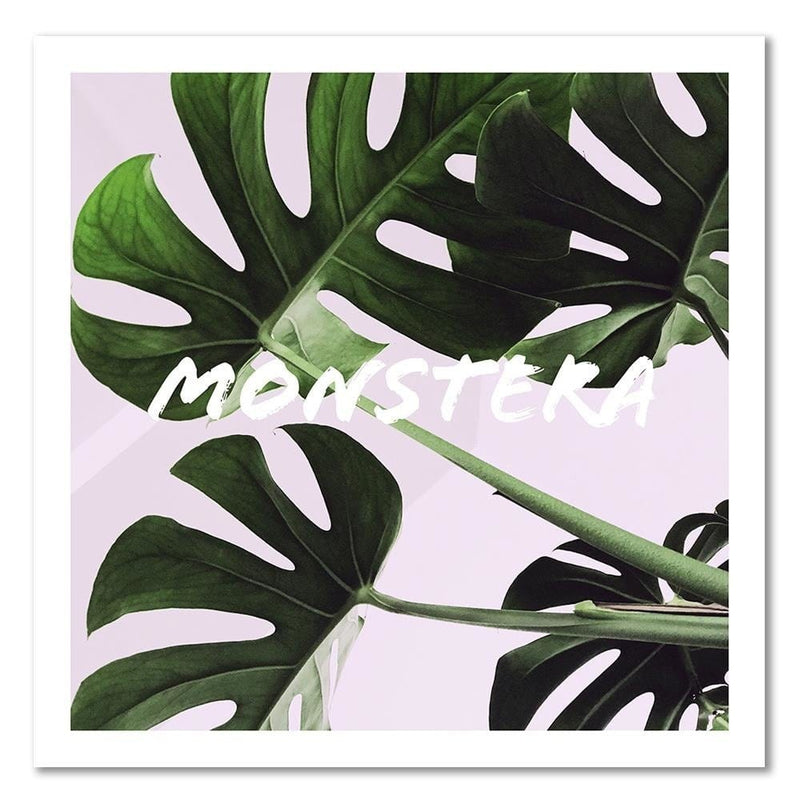 Kanva - Exotic Leaves Monstera  Home Trends DECO