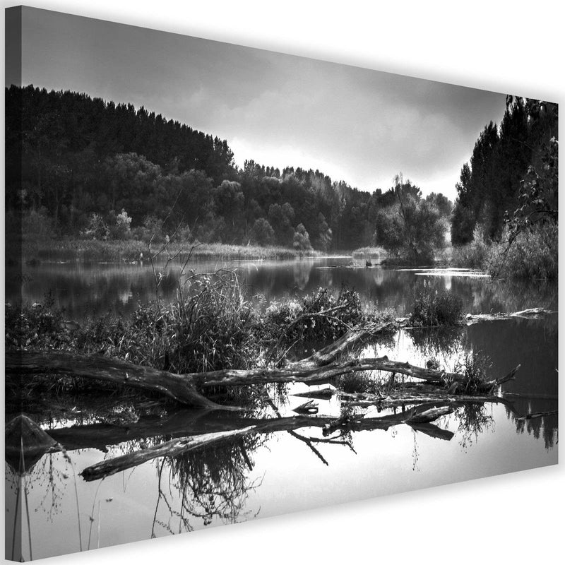 Kanva - Fallen Tree In The Lake 2  Home Trends DECO