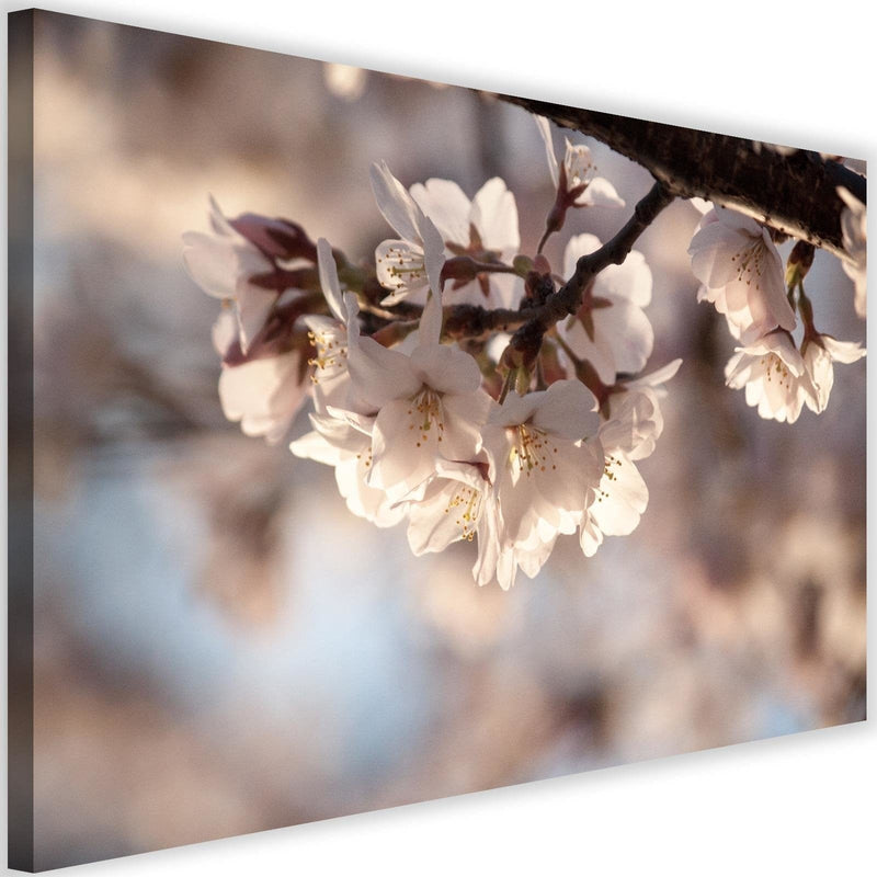 Kanva - Flowering Cherry  Home Trends DECO