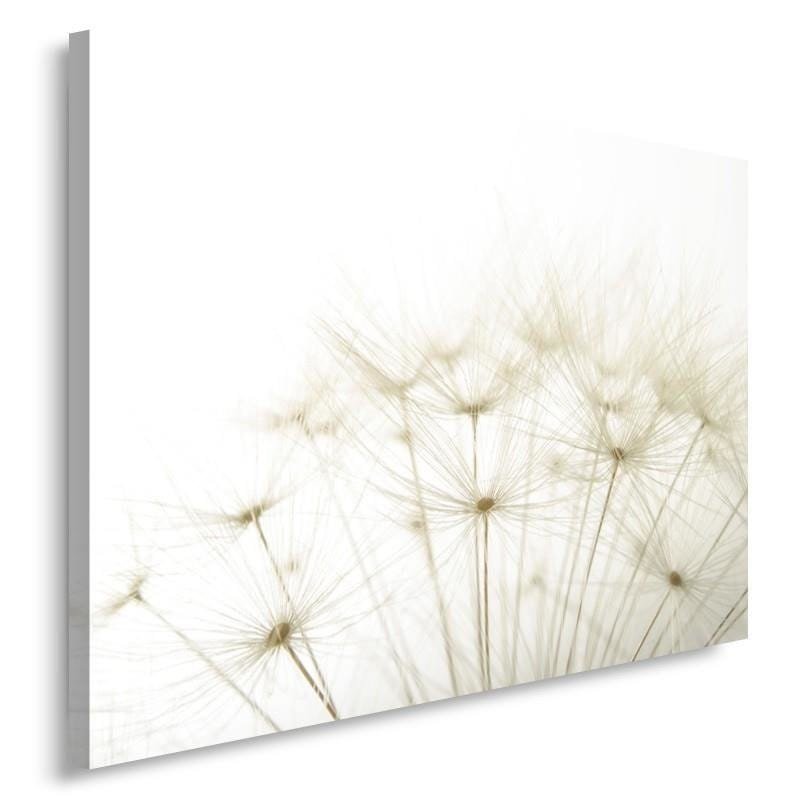 Kanva - Fragment Of Dandelion  Home Trends DECO