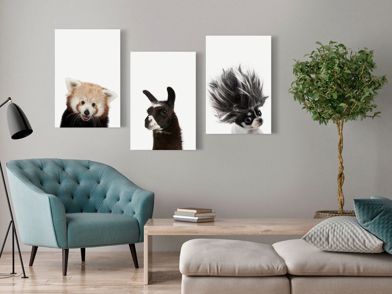 Glezna - Friendly Animals (Collection) Home Trends