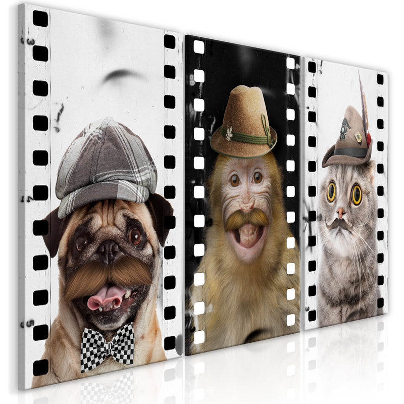 Glezna - Funny Pets (Collection) Home Trends