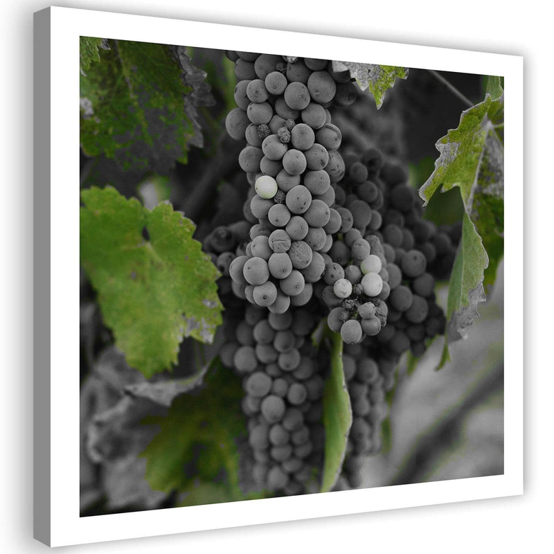 Kanva - Grapes 2  Home Trends DECO