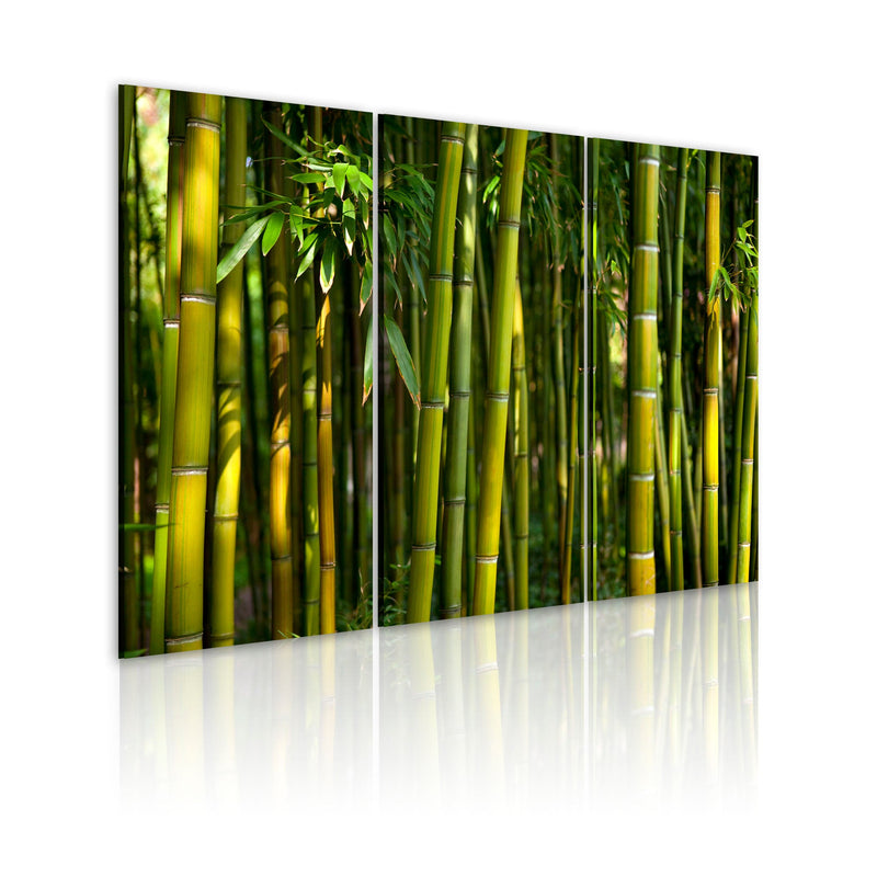 Glezna - Green bamboo 60x40 Home Trends