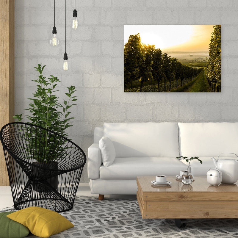 Kanva - Green Vineyards  Home Trends DECO