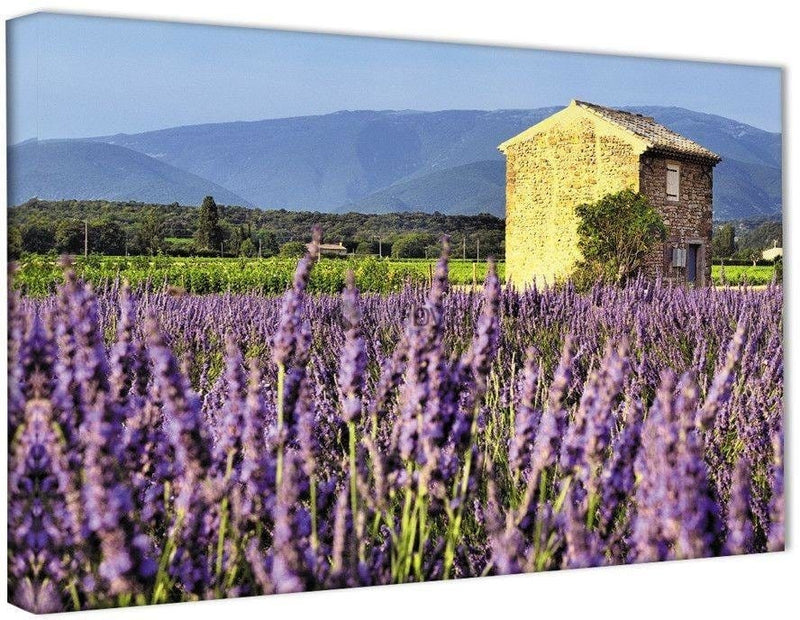 Kanva - In The Field Of Lavender House  Home Trends DECO