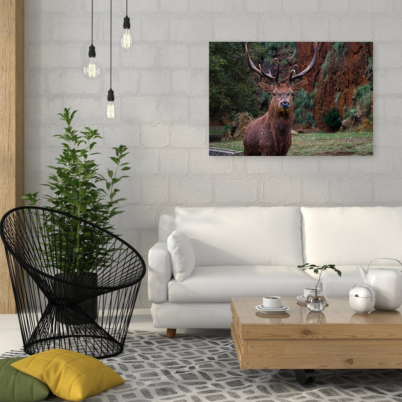 Kanva - King Of The Forest  Home Trends DECO