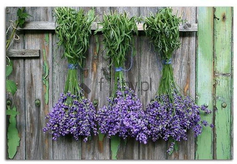 Kanva - Lavender 1  Home Trends DECO