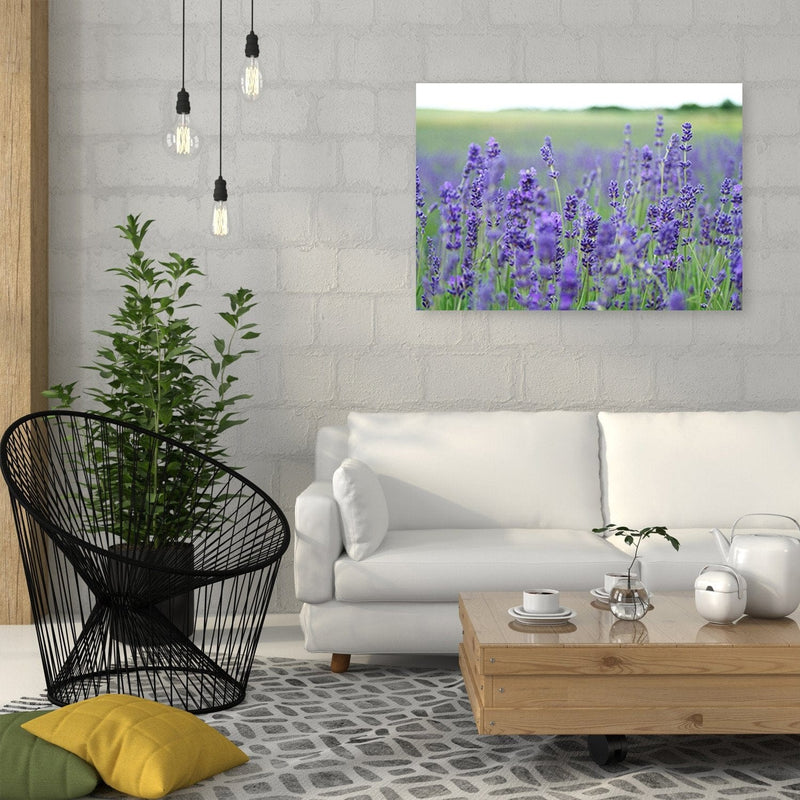 Kanva - Lavender Fields  Home Trends DECO