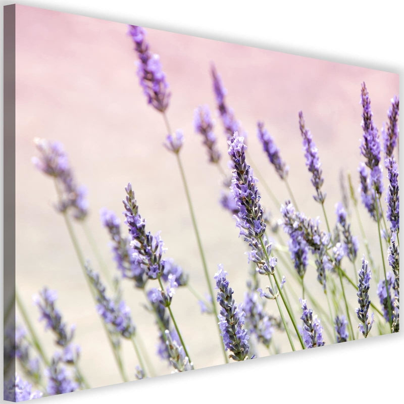 Kanva - Lavender Flowers  Home Trends DECO