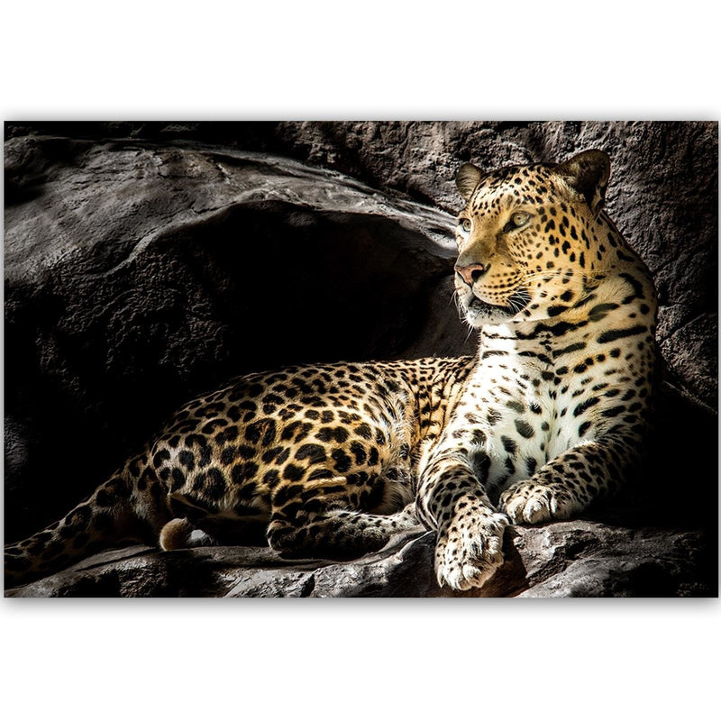 Kanva - Leopard On The Rocks  Home Trends DECO