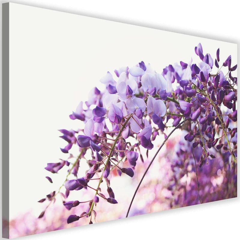 Kanva - Lilac Wisteria Flowers  Home Trends DECO