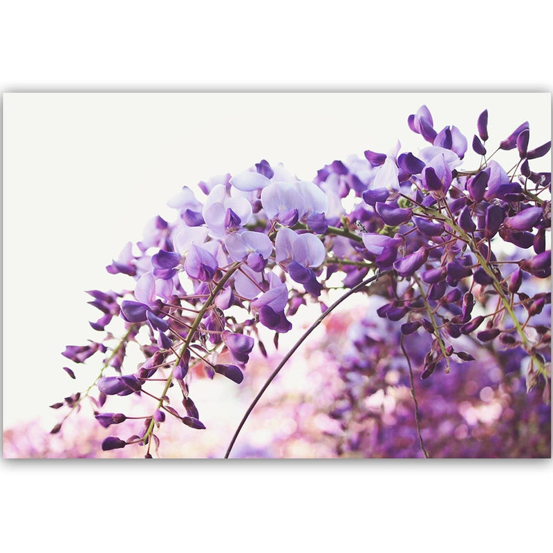 Kanva - Lilac Wisteria Flowers  Home Trends DECO