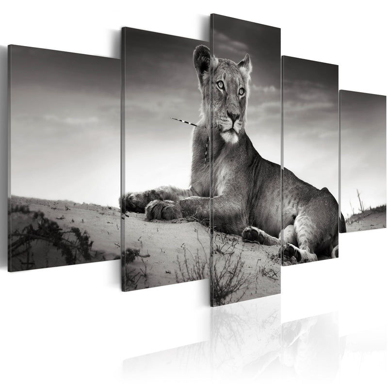 Glezna - Lioness in a desert Home Trends