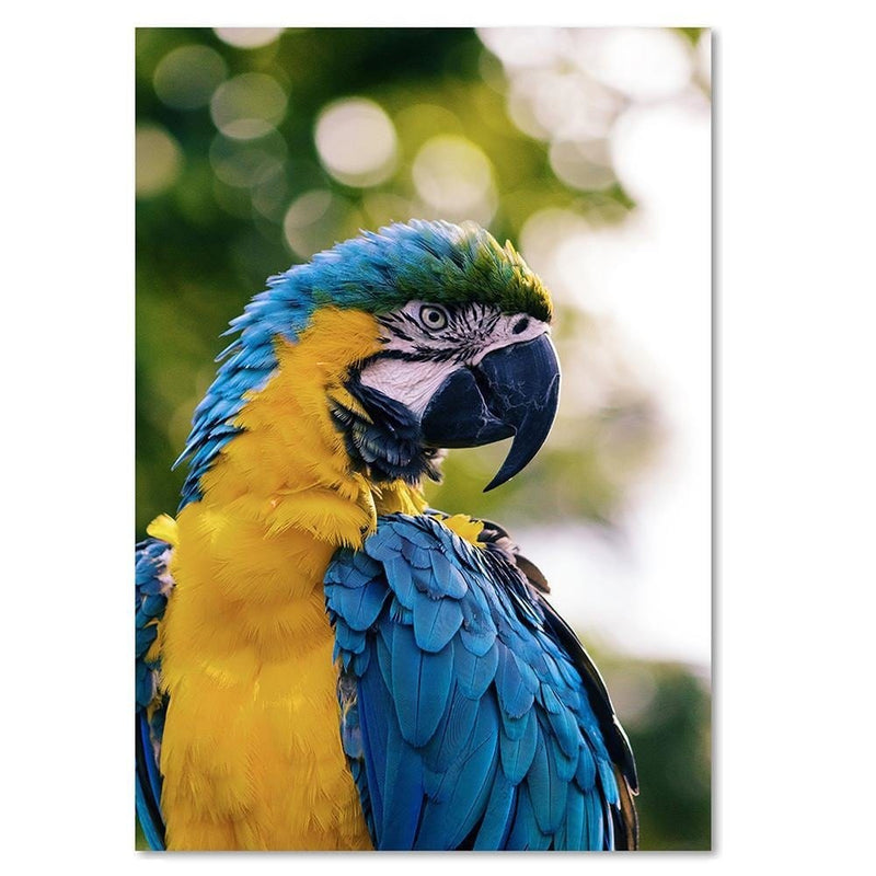 Kanva - Macaw Parrot  Home Trends DECO