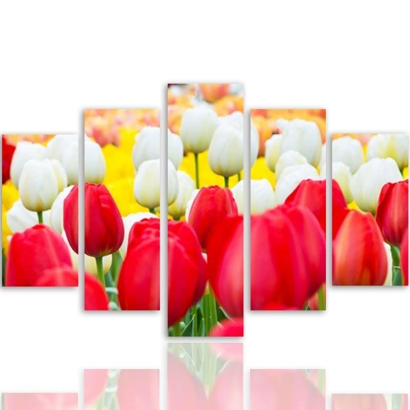 Kanva no 5 daļām - Type A, White And Red Tulips  Home Trends DECO