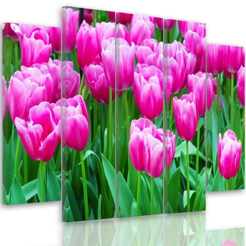 Kanva no 5 daļām - Type B, Pink Tulips 1  Home Trends DECO