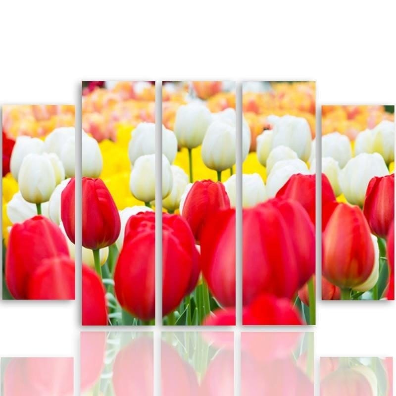 Kanva no 5 daļām - Type B, White And Red Tulips  Home Trends DECO