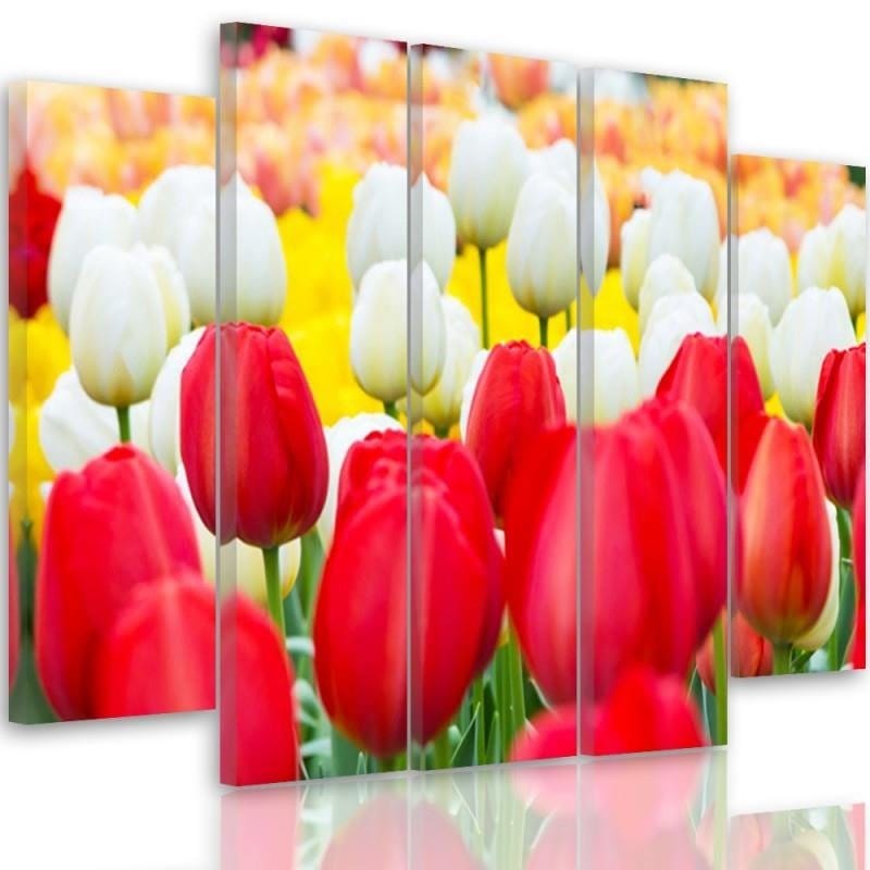 Kanva no 5 daļām - Type B, White And Red Tulips  Home Trends DECO