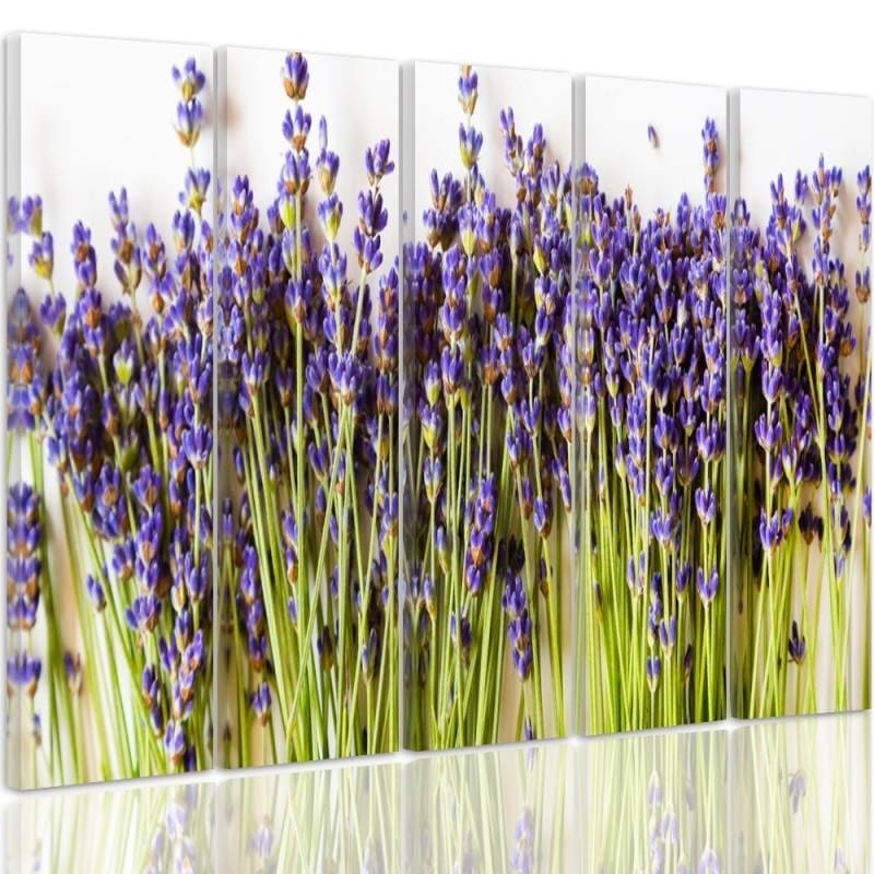 Kanva no 5 daļām - Type C, Lavender Buds  Home Trends DECO