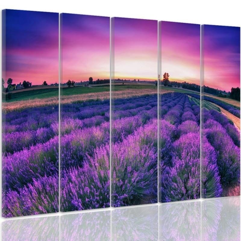 Kanva no 5 daļām - Type C, Lavender Landscape  Home Trends DECO