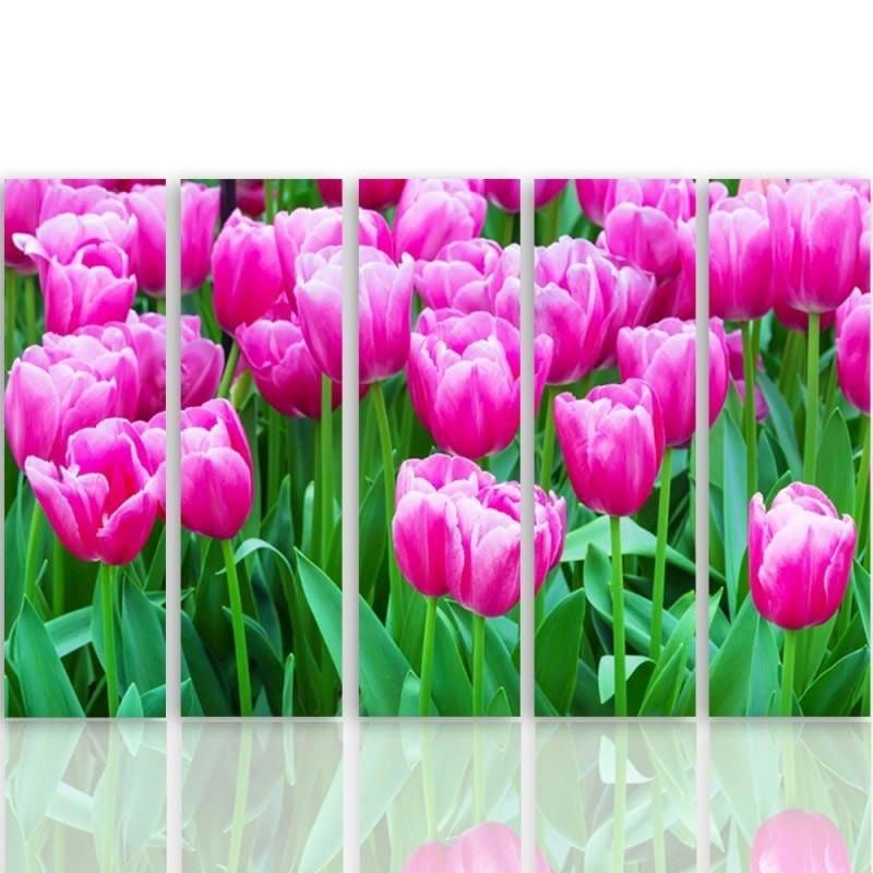 Kanva no 5 daļām - Type C, Pink Tulips 1  Home Trends DECO