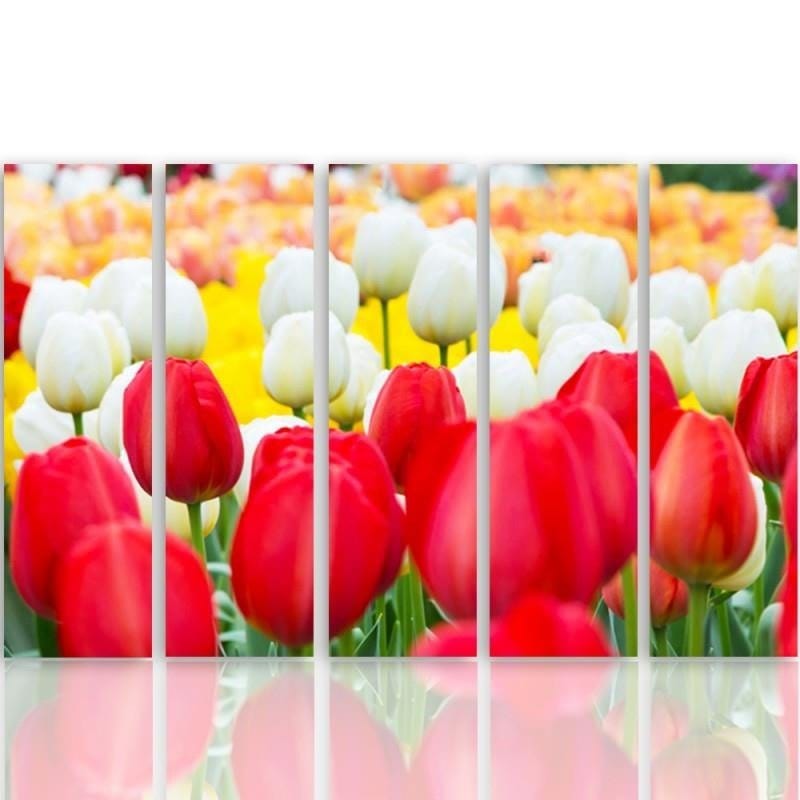 Kanva no 5 daļām - Type C, White And Red Tulips  Home Trends DECO