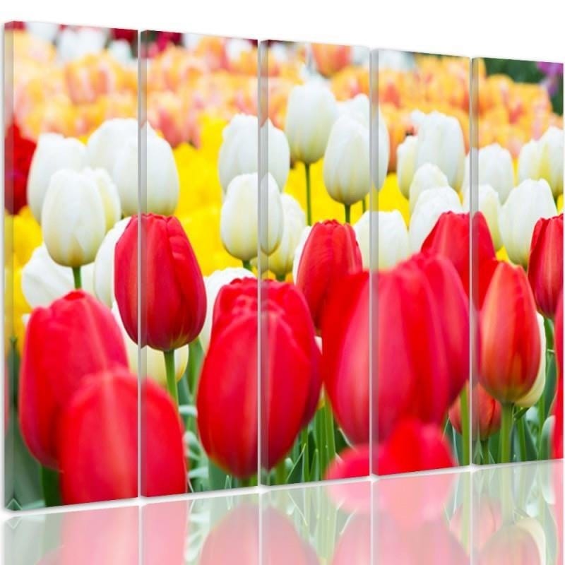 Kanva no 5 daļām - Type C, White And Red Tulips  Home Trends DECO