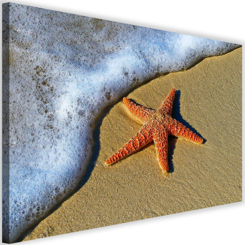 Kanva - Orange Starfish  Home Trends DECO