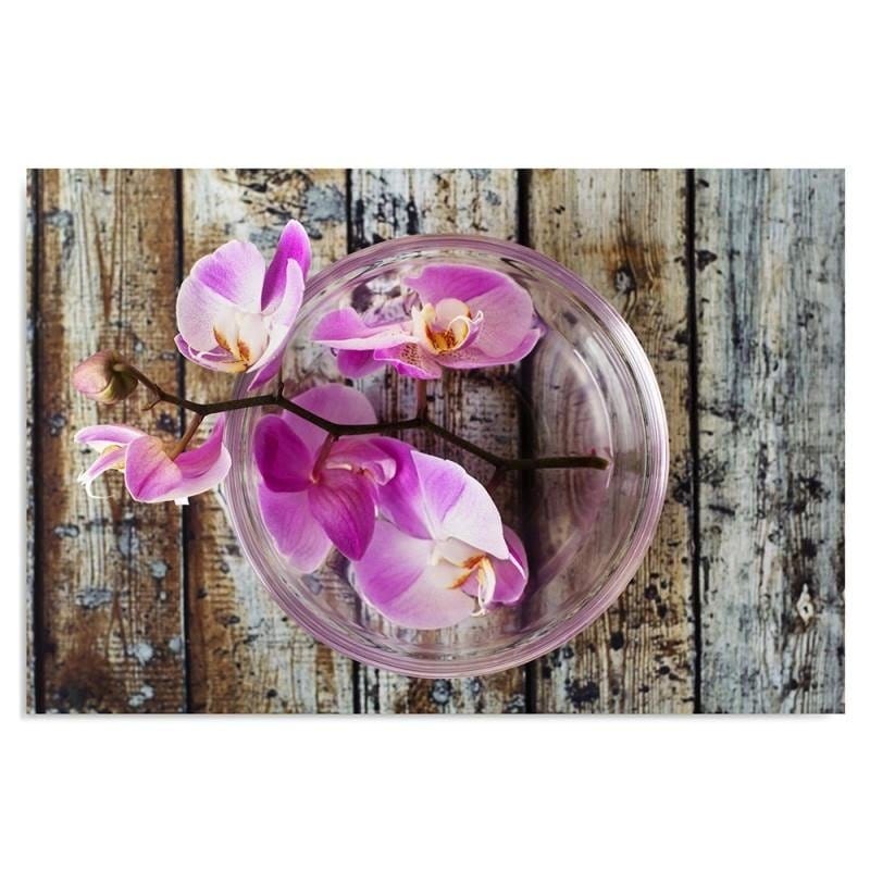 Kanva - Orchid On The Background Boards  Home Trends DECO