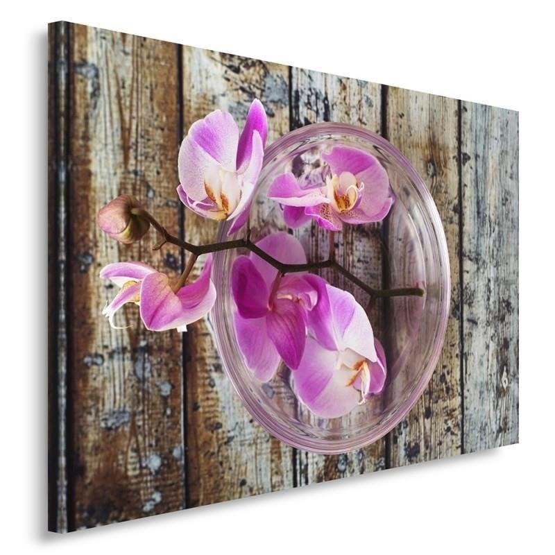 Kanva - Orchid On The Background Boards  Home Trends DECO