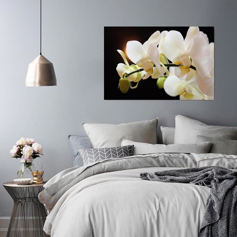 Kanva - Orchids 12  Home Trends DECO