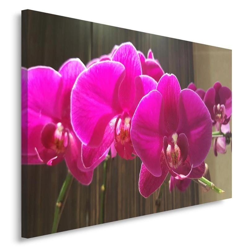 Kanva - Orchids 4  Home Trends DECO