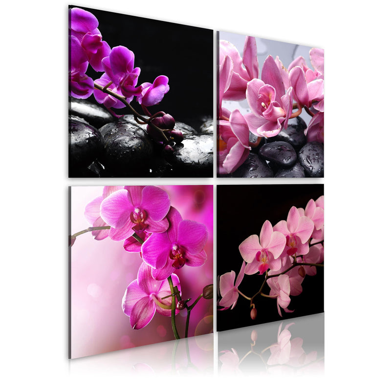 Glezna - Orchids more beautiful than ever Home Trends