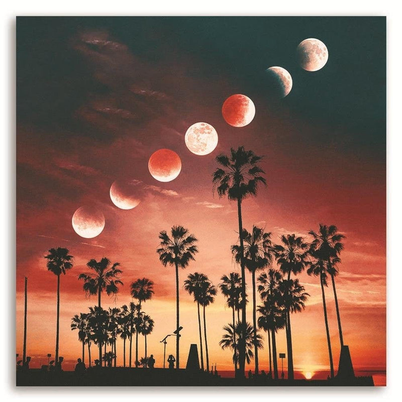 Kanva - Phases Of The Moon Over Palm Trees  Home Trends DECO