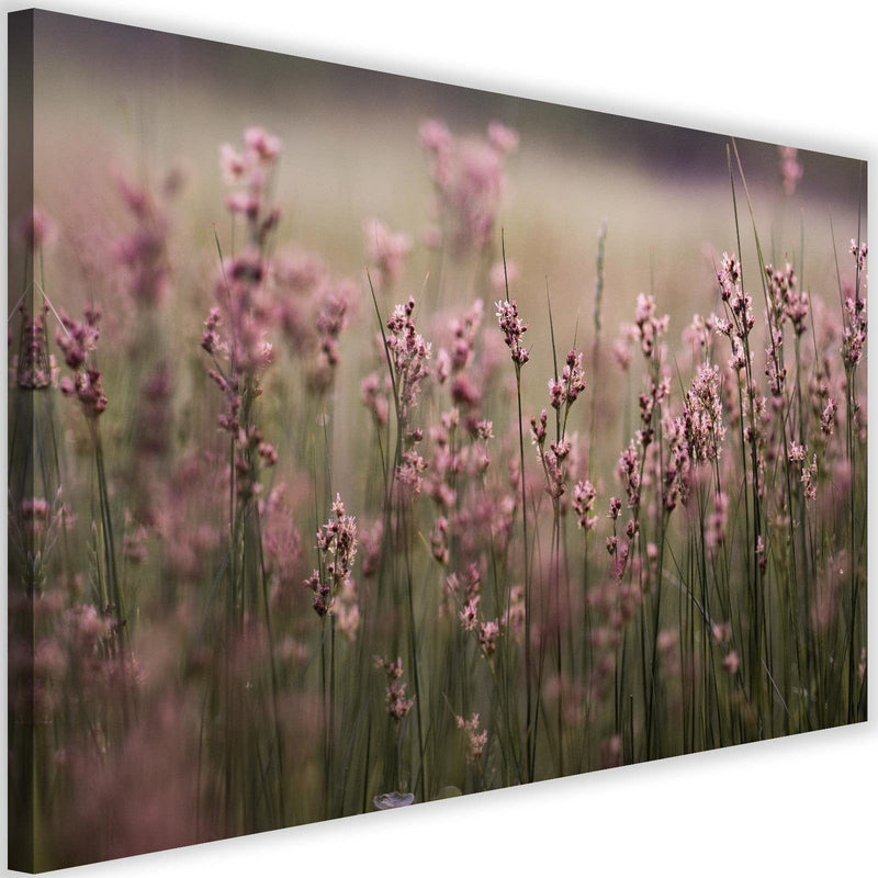 Kanva - Pink Flower Field  Home Trends DECO