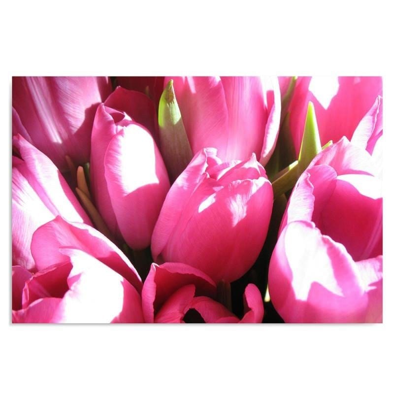 Kanva - Pink Tulips 2  Home Trends DECO