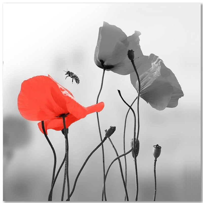 Kanva - Poppies And Bee  Home Trends DECO