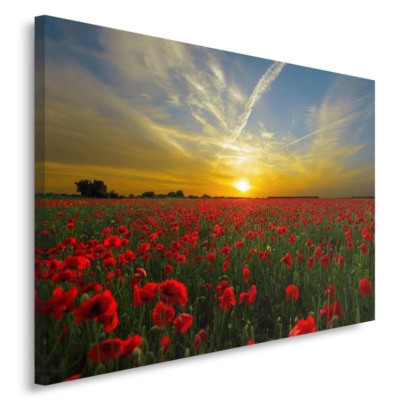 Kanva - Poppies At Sunset  Home Trends DECO