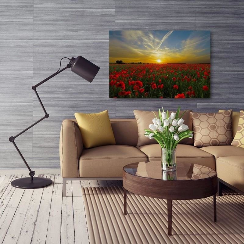 Kanva - Poppies At Sunset  Home Trends DECO