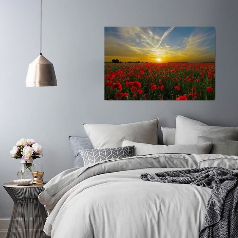 Kanva - Poppies At Sunset  Home Trends DECO